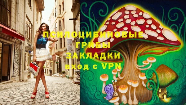сатива Алексеевка