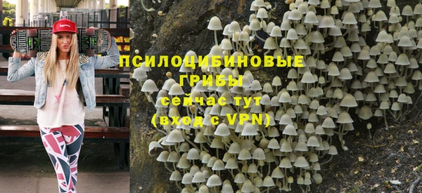 Альфа ПВП Алексин