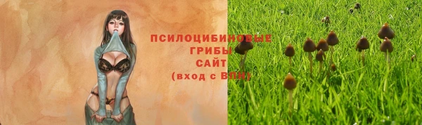сатива Абинск