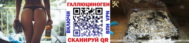 ссылка на мегу как войти Егорьевск Псилоцибиновые грибы Psilocybe